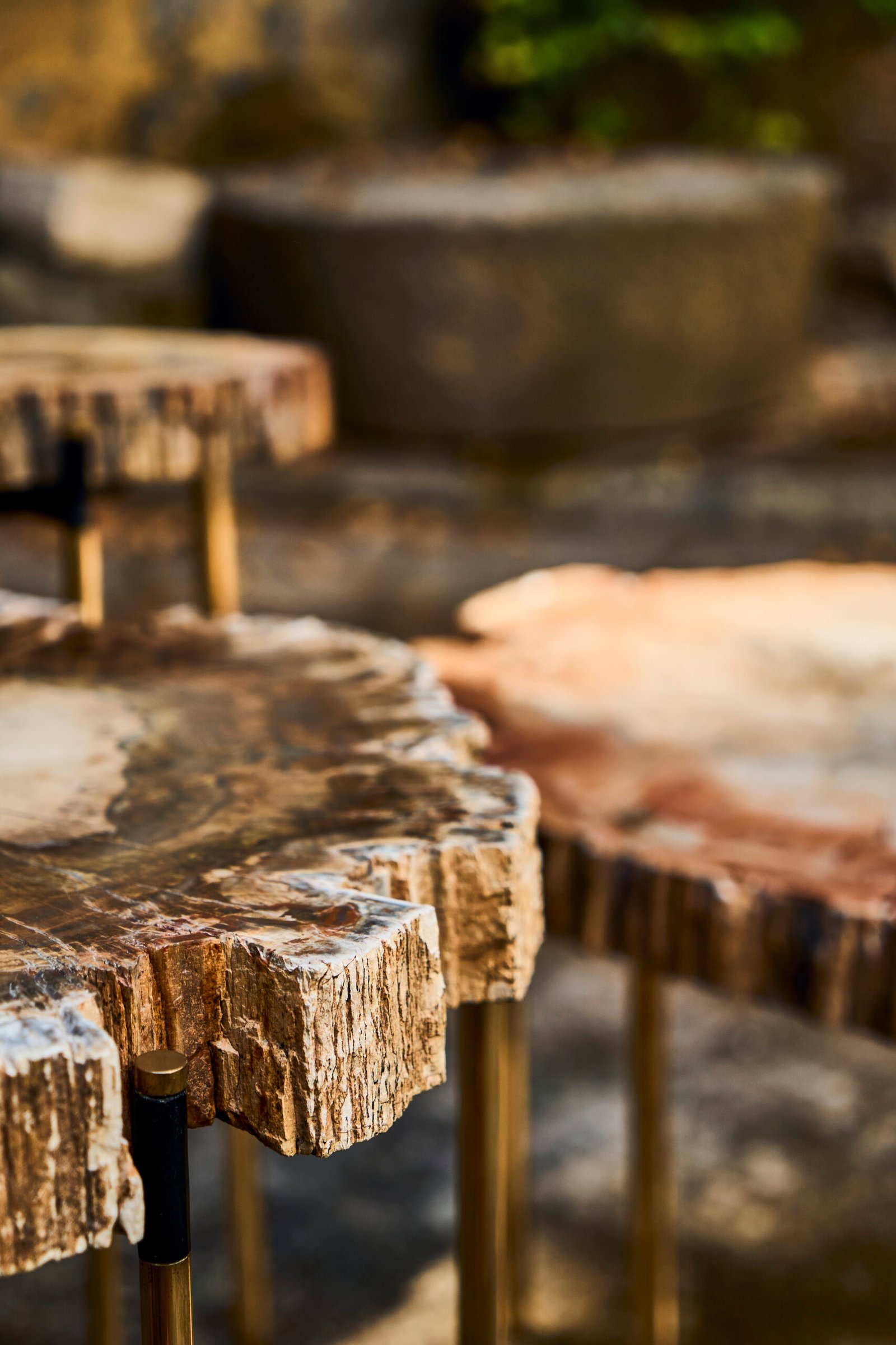 maha - tavolo creato da legno fossile